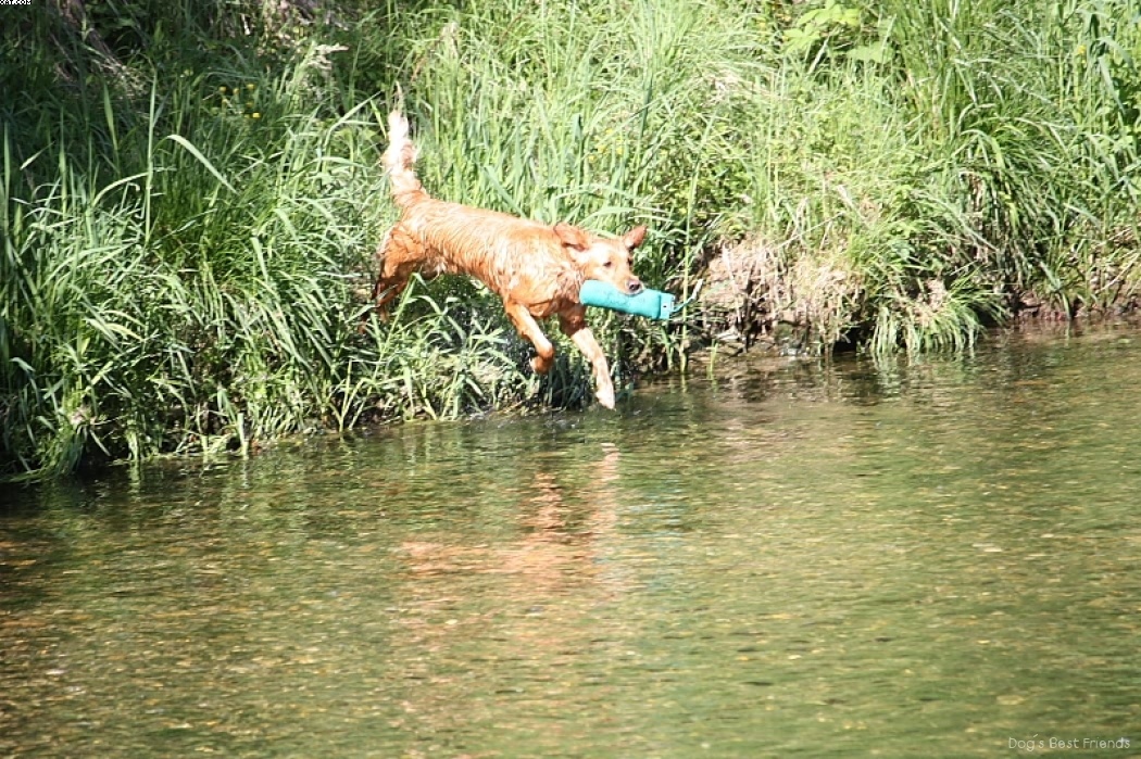 Img 1242913171 242 lg opt