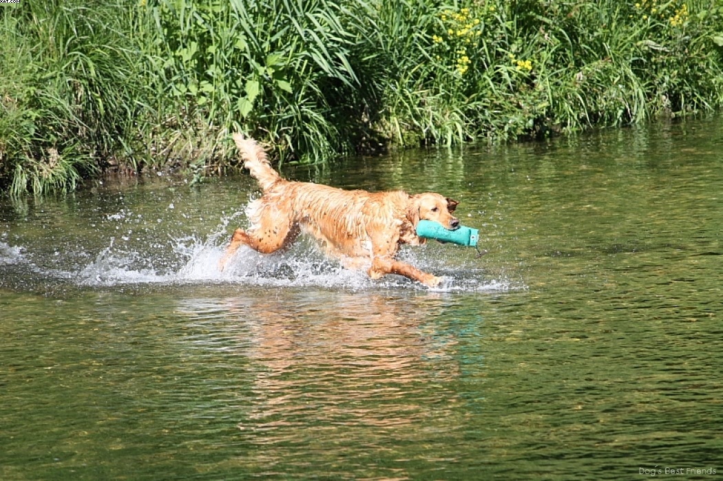 Img 1242913216 432 lg opt