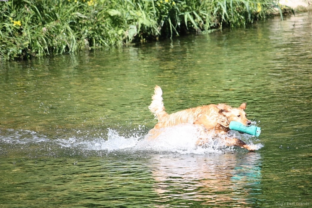 Img 1242913259 764 lg opt