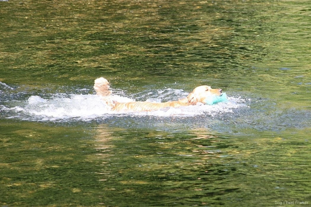 Img 1242913297 835 lg opt