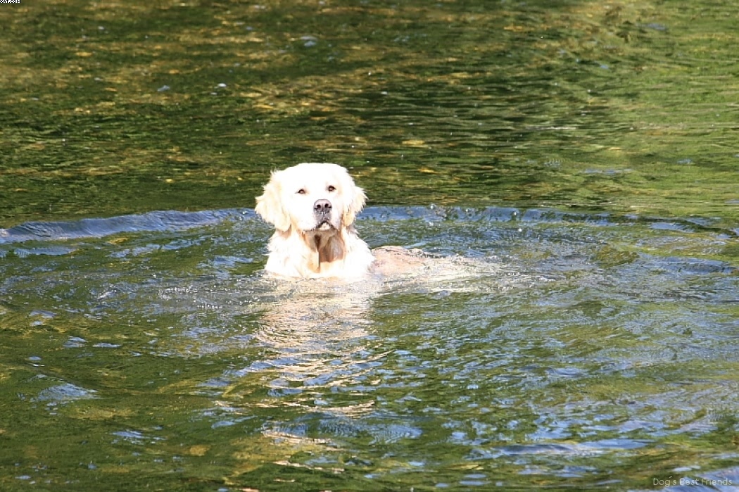 Img 1242913567 656 lg opt