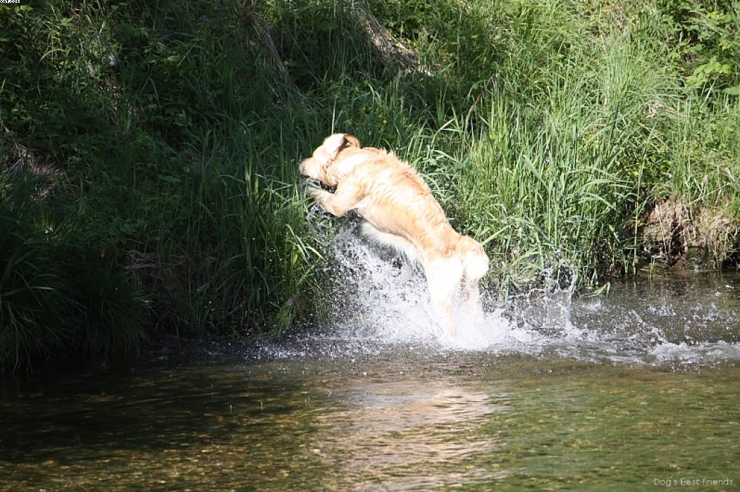 Img 1242913651 927 lg opt