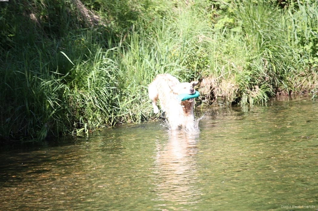 Img 1242913741 68 lg opt