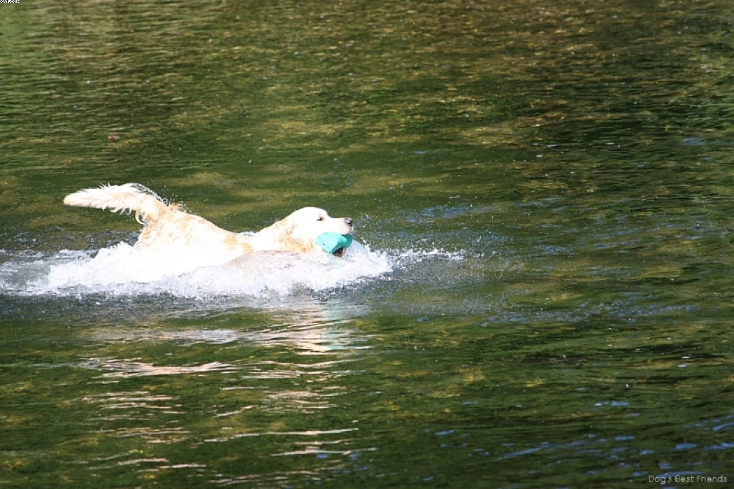 Img 1242913867 323 lg opt