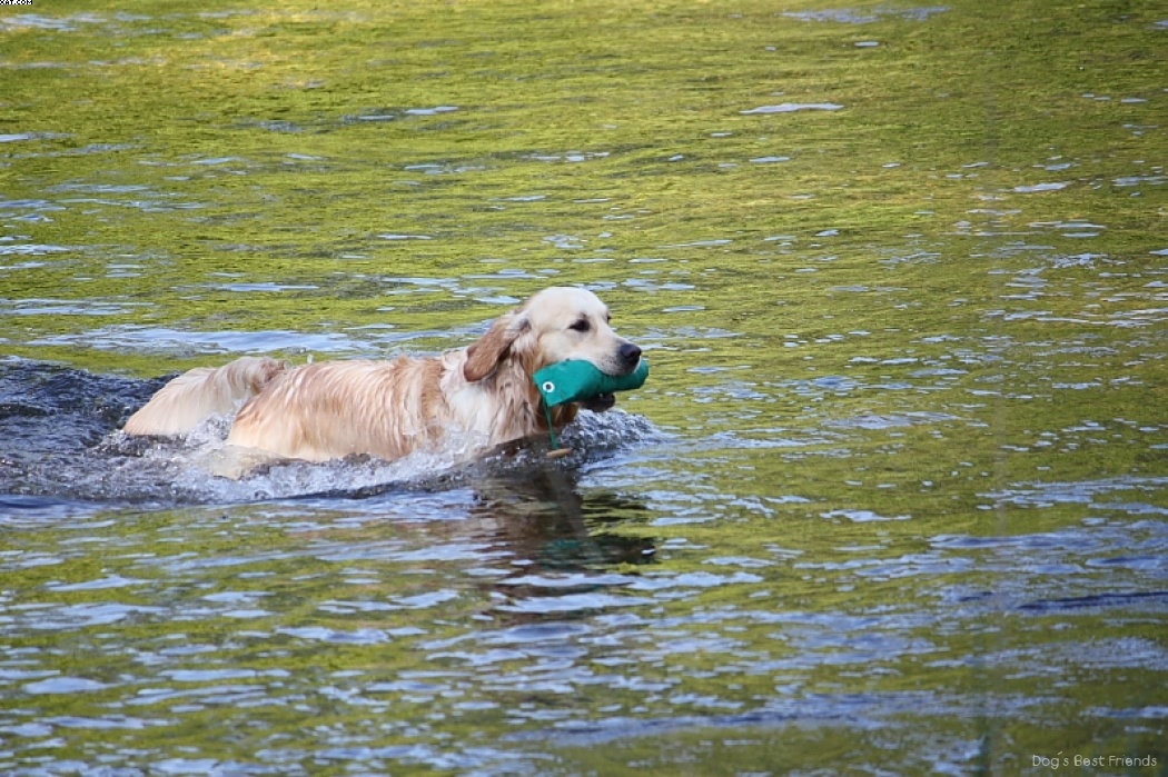 Img 1242913907 981 lg opt