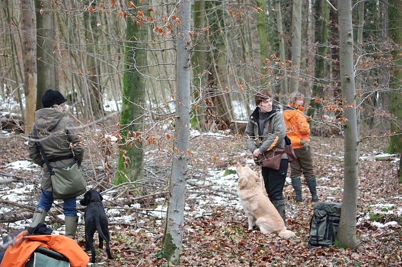 10 01 17 DbF Training 04