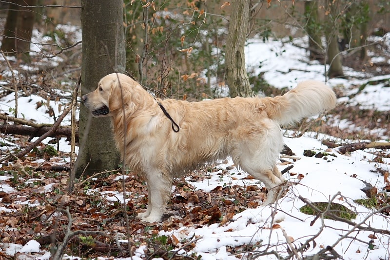 10 01 17 DbF Training 05