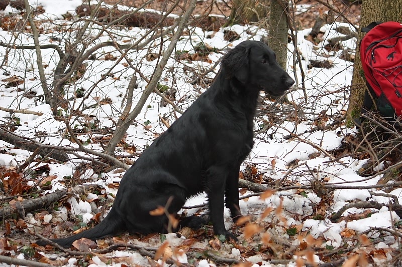 10 01 17 DbF Training 06