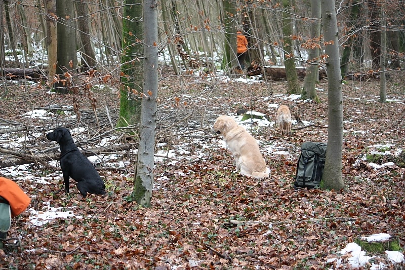 10 01 17 DbF Training 07