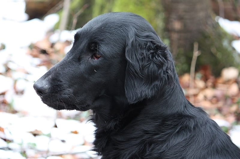 10 01 17 DbF Training 08