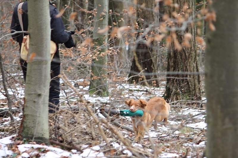 10 01 17 DbF Training 11