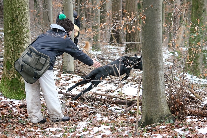 10 01 17 DbF Training 12