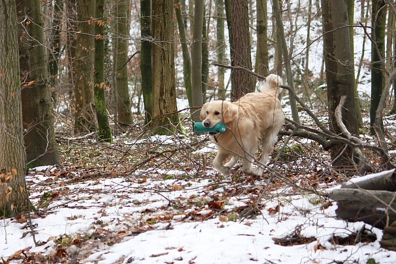 10 01 17 DbF Training 13