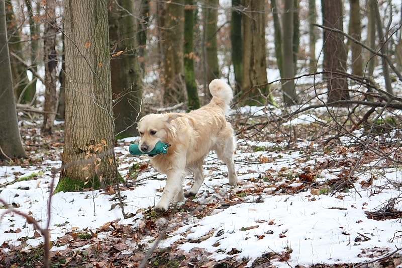 10 01 17 DbF Training 14