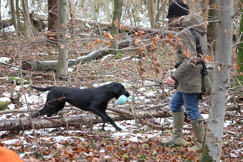 10 01 17 DbF Training 15