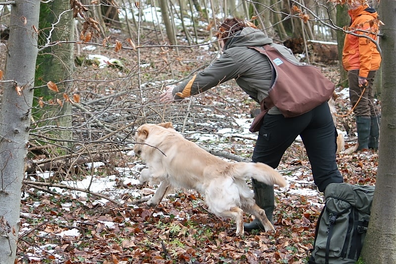 10 01 17 DbF Training 16