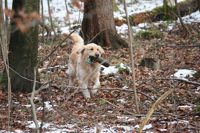 10 01 17 DbF Training 17