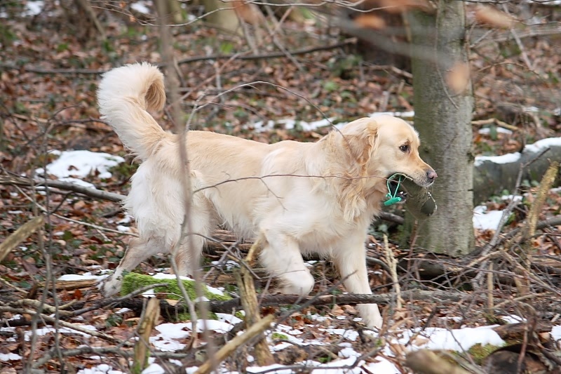 10 01 17 DbF Training 18