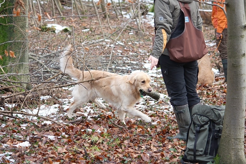 10 01 17 DbF Training 19