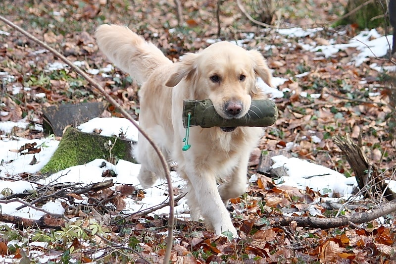 10 01 17 DbF Training 20