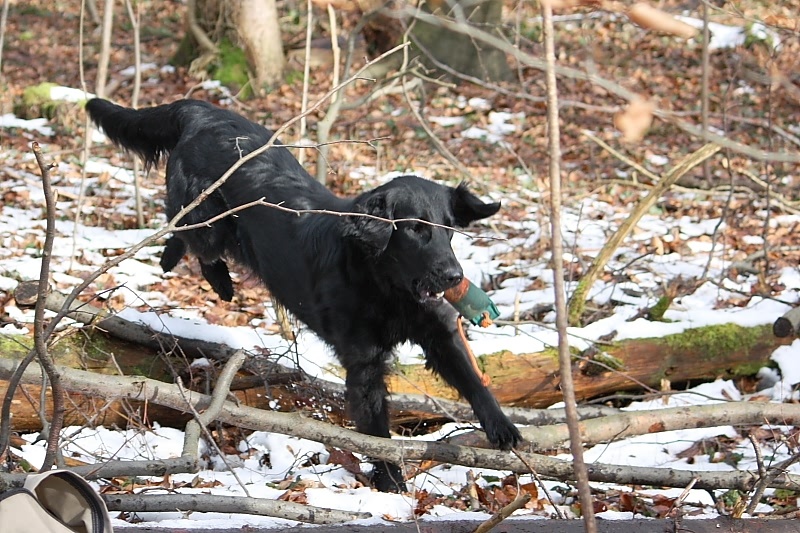 10 01 17 DbF Training 21