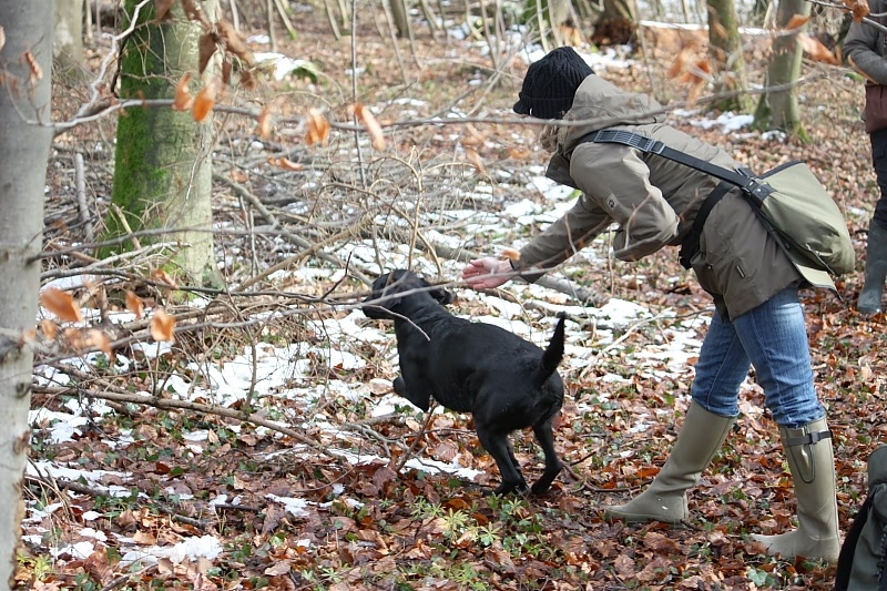 10 01 17 DbF Training 22