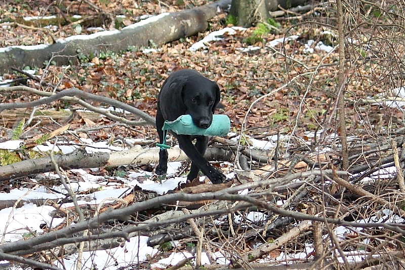 10 01 17 DbF Training 23