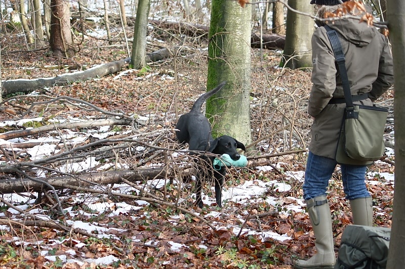 10 01 17 DbF Training 24