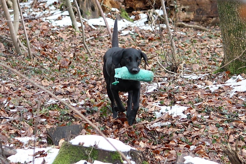 10 01 17 DbF Training 25