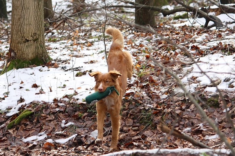 10 01 17 DbF Training 26