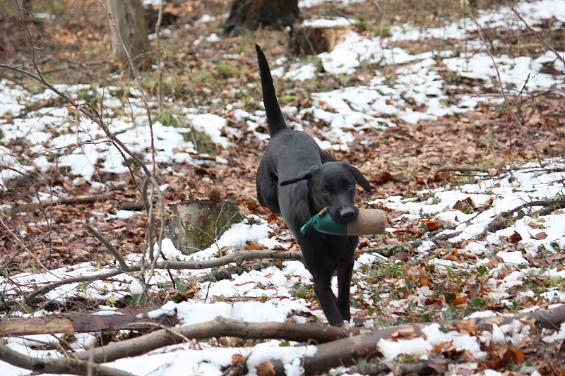 10 01 17 DbF Training 28