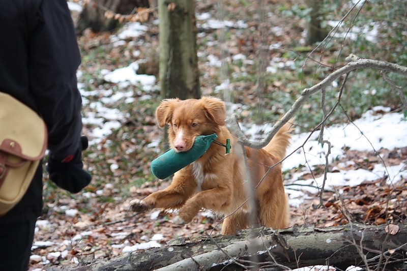 10 01 17 DbF Training 29