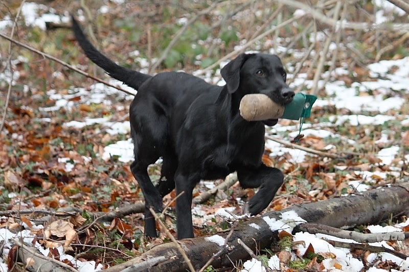 10 01 17 DbF Training 30