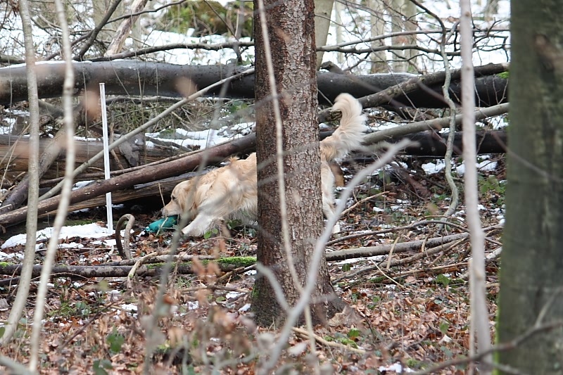 10 01 17 DbF Training 31