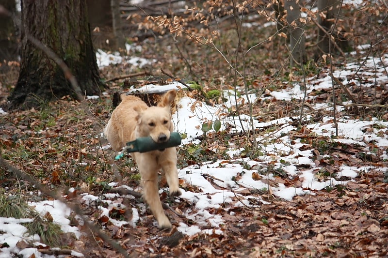 10 01 17 DbF Training 32