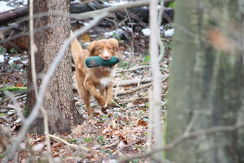 10 01 17 DbF Training 33