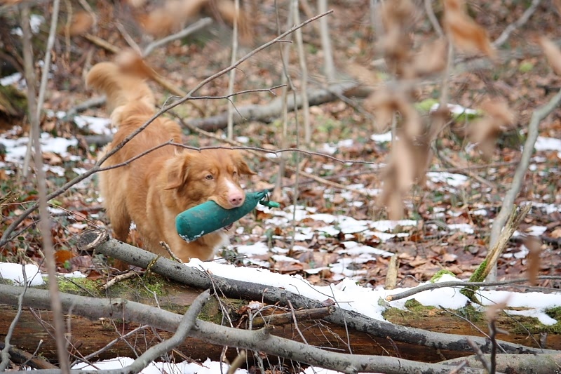 10 01 17 DbF Training 34