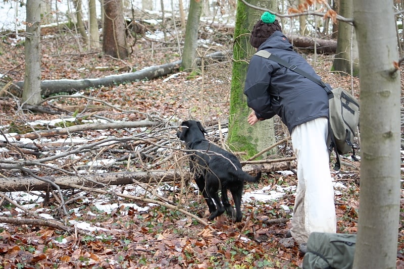 10 01 17 DbF Training 35