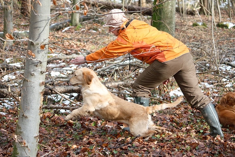 10 01 17 DbF Training 36