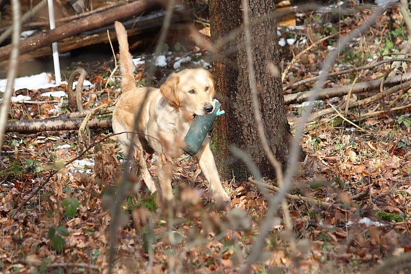 10 01 17 DbF Training 37