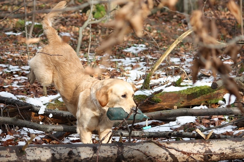 10 01 17 DbF Training 38