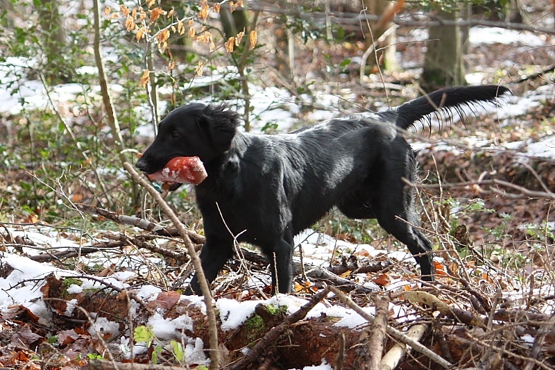 10 01 17 DbF Training 39