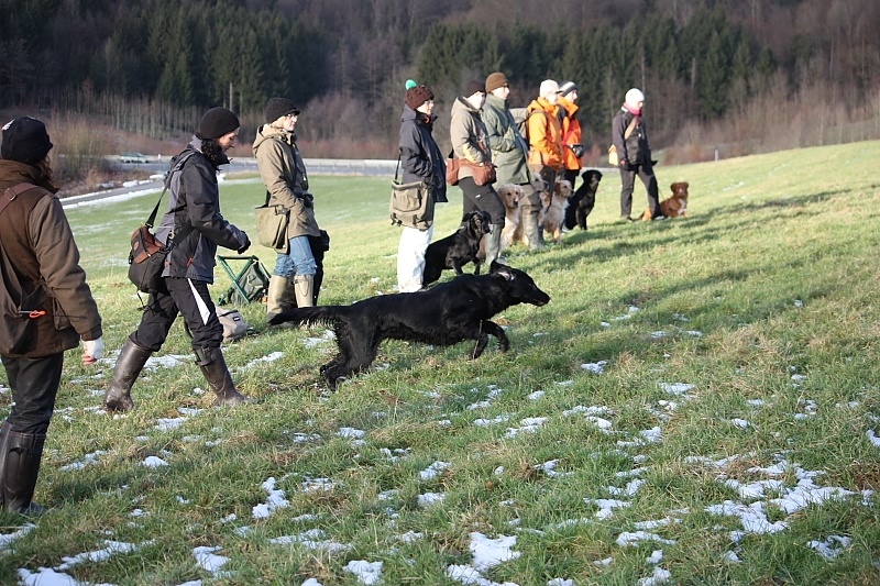 10 01 17 DbF Training 42