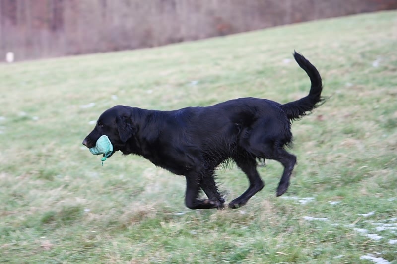 10 01 17 DbF Training 43