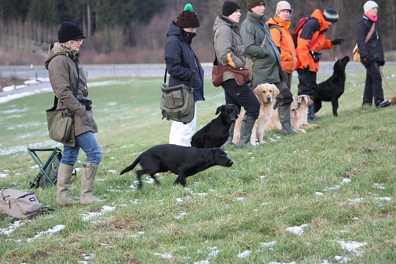 10 01 17 DbF Training 45