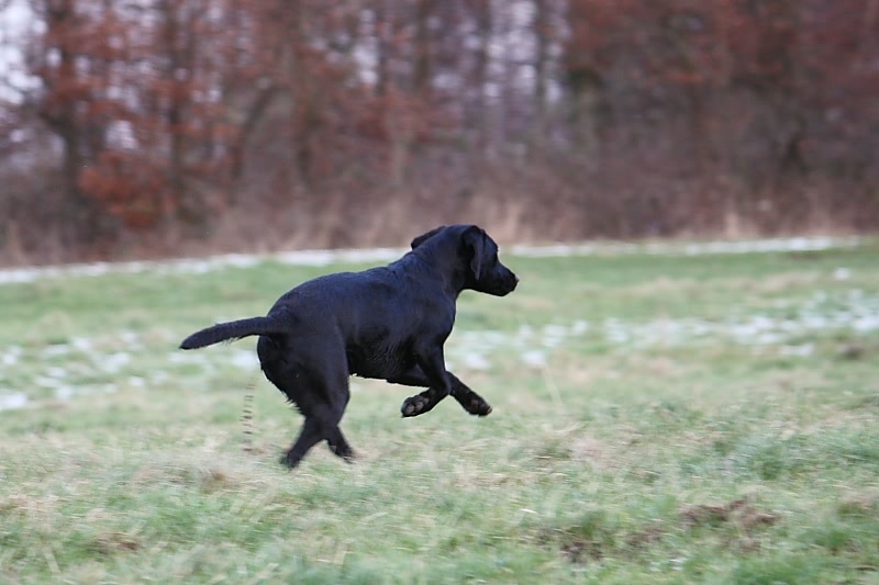 10 01 17 DbF Training 46