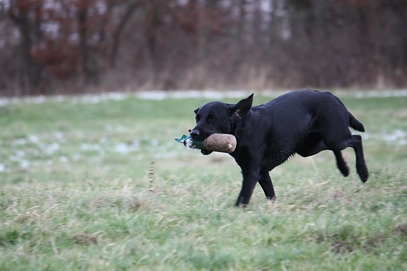 10 01 17 DbF Training 47