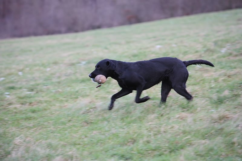 10 01 17 DbF Training 48