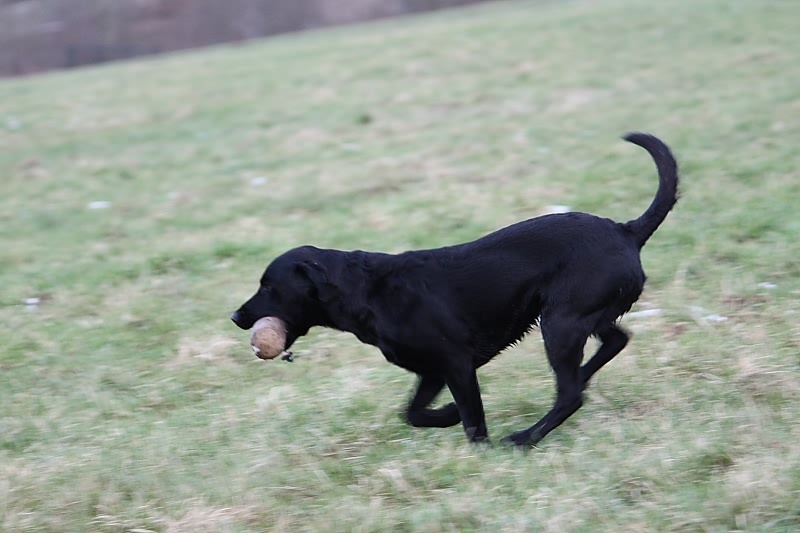 10 01 17 DbF Training 49