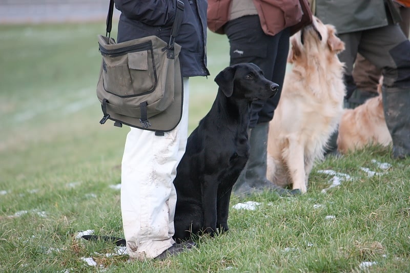 10 01 17 DbF Training 51